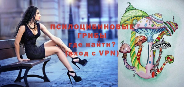 дживик Армянск
