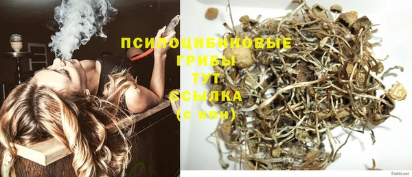 дживик Армянск