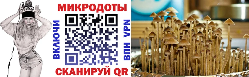 Псилоцибиновые грибы ЛСД  мега маркетплейс  Рыбное 